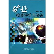 解码矿业投资 科学评价与专业咨询的关键路径